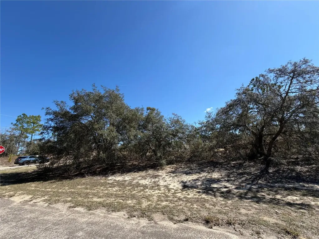 6725 N Killinger Terrace Citrus Springs FL 34433