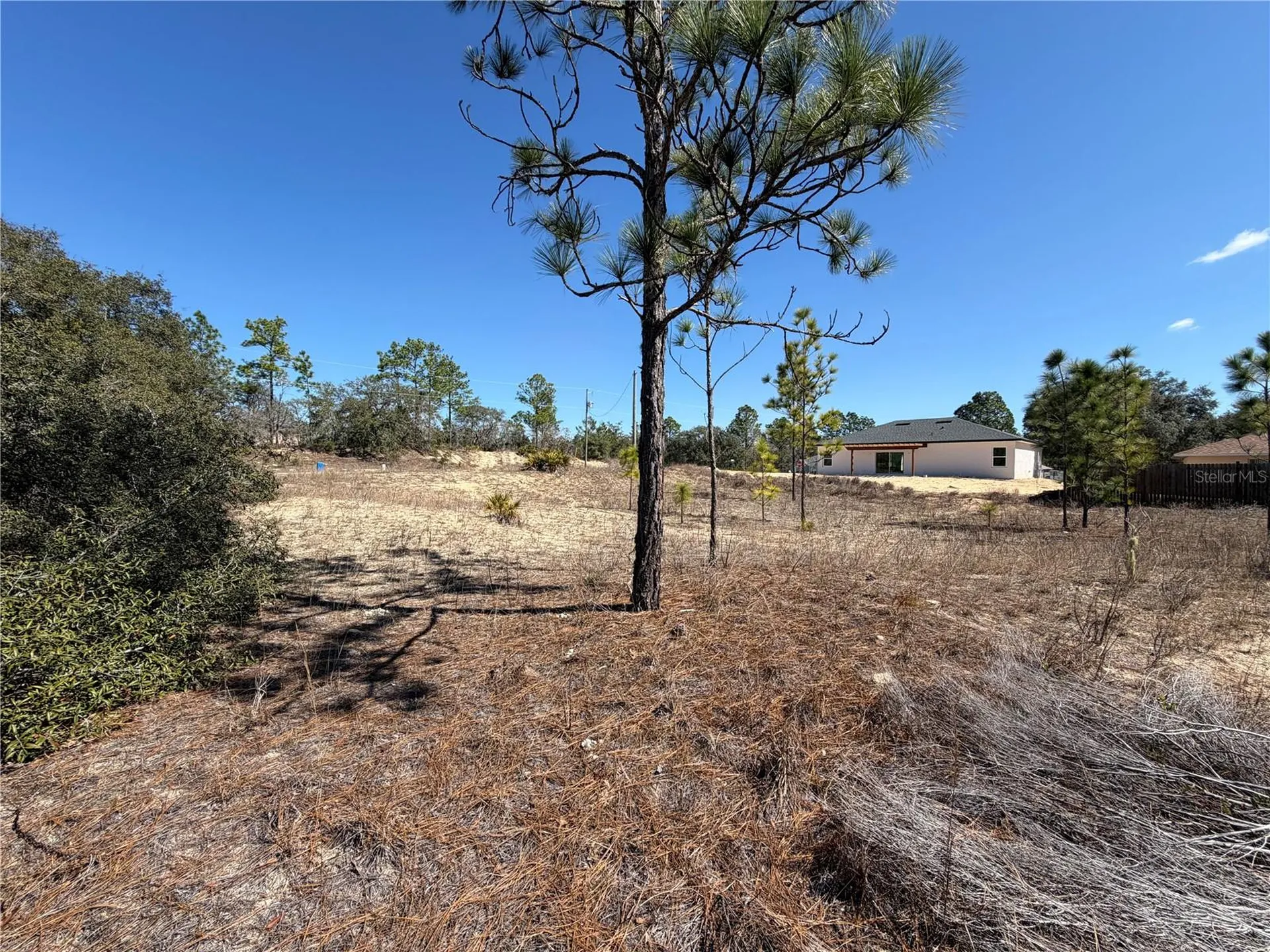 6725 N Killinger Terrace Citrus Springs FL 34433