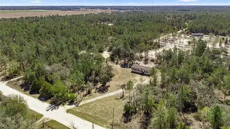 14650 SE 6th Lane Williston FL 32696