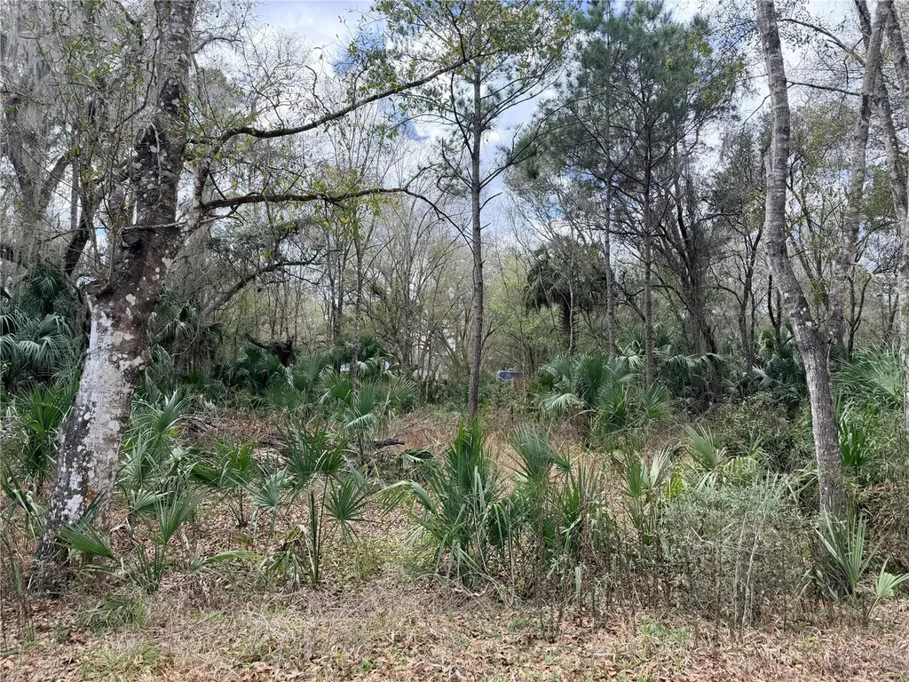 736 S Sickle Point Inverness FL 34450