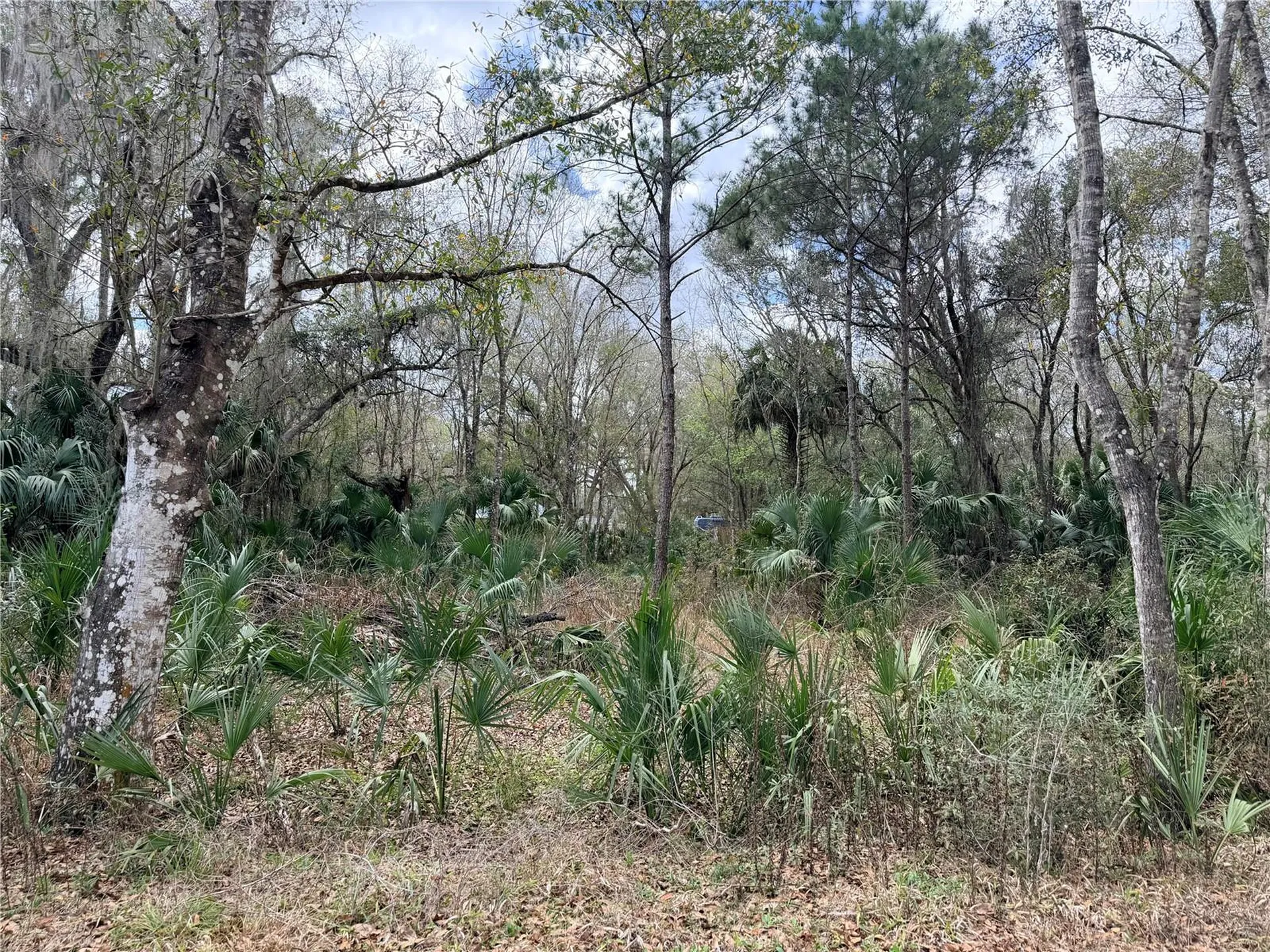 736 S Sickle Point Inverness FL 34450