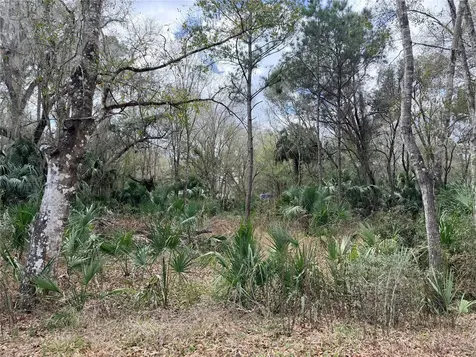 736 S Sickle Point Inverness FL 34450