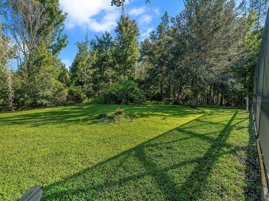 18022 Maui Isle Drive Tampa FL 33647