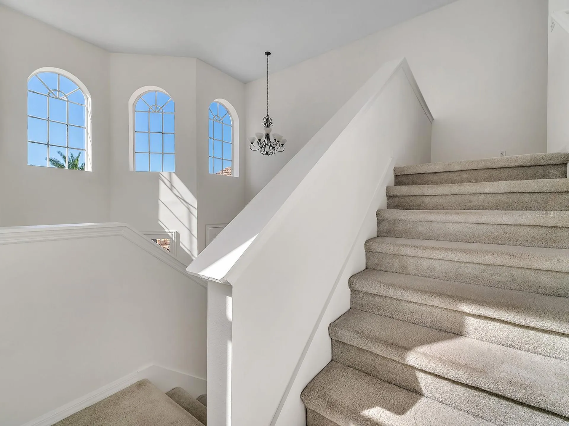 18022 Maui Isle Drive Tampa FL 33647