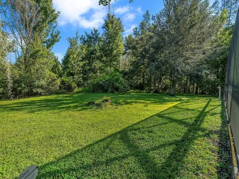 18022 Maui Isle Drive Tampa FL 33647