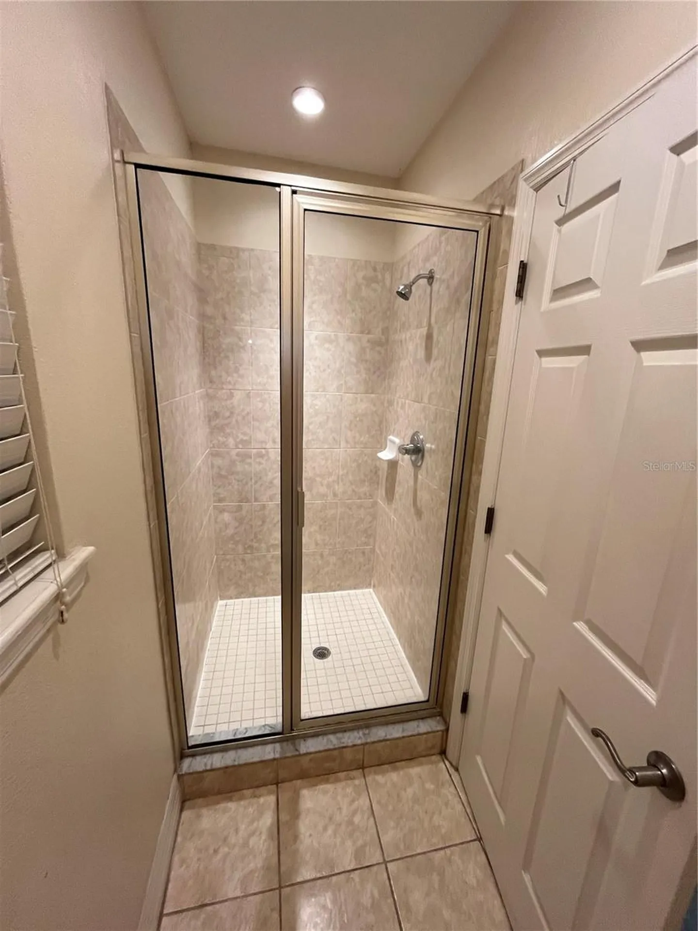 4539 Bay Spring Court Tampa FL 33611