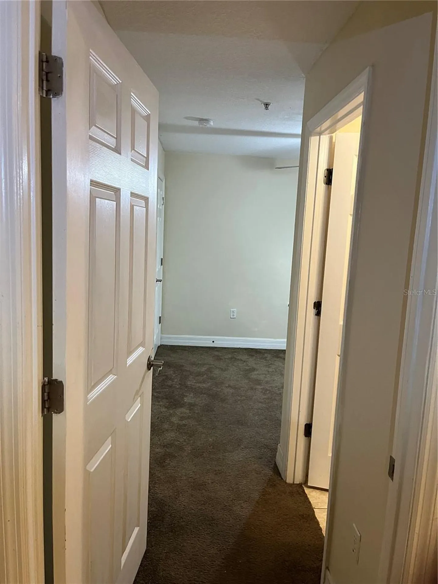 4539 Bay Spring Court Tampa FL 33611