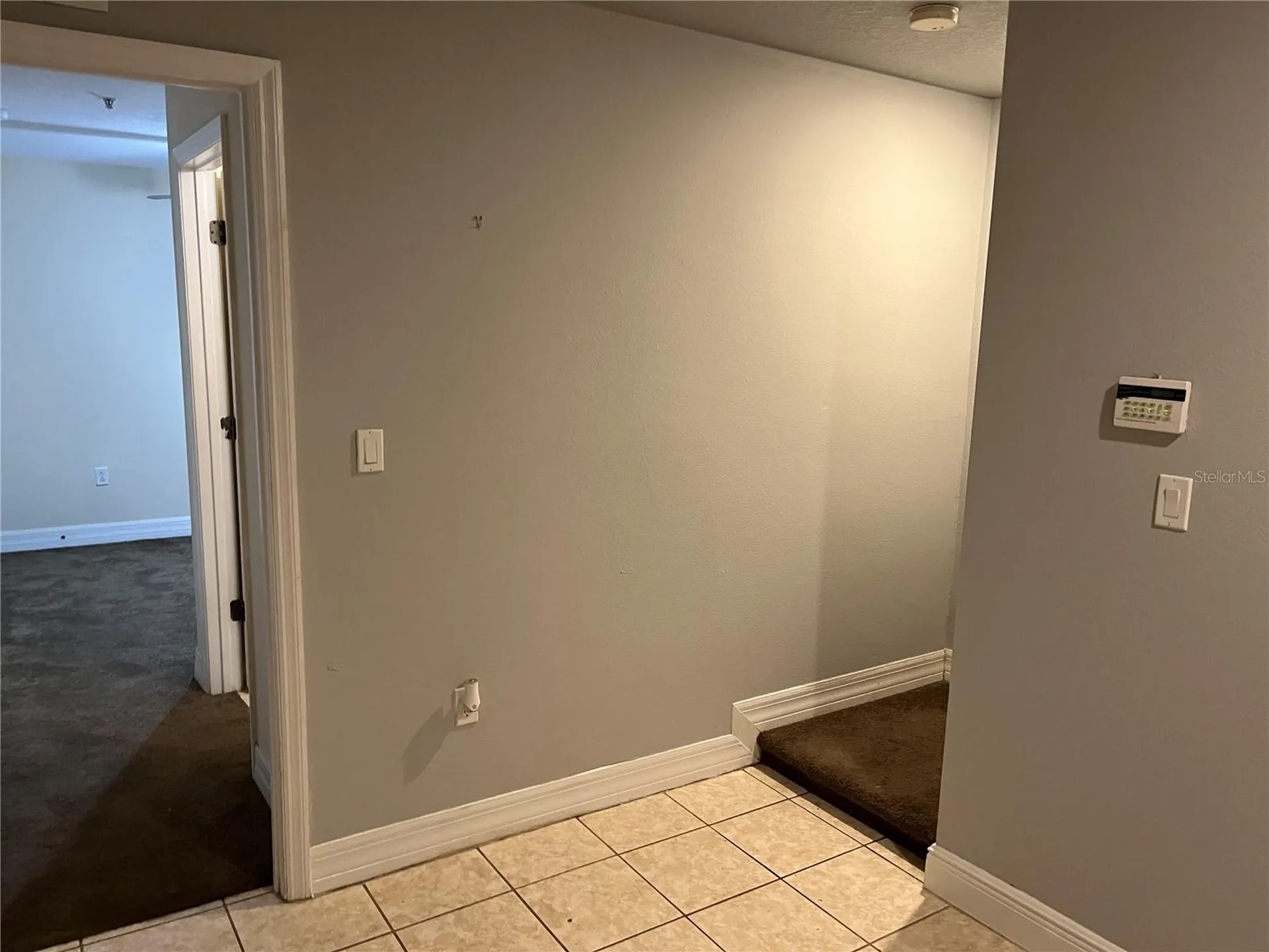 4539 Bay Spring Court Tampa FL 33611