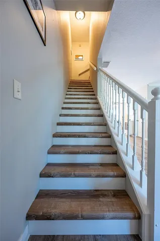 510 Ryans Woods Lane Palm Harbor FL 34683