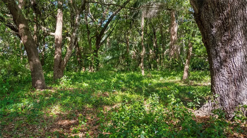1500 N Hoagland Boulevard Kissimmee FL 34741