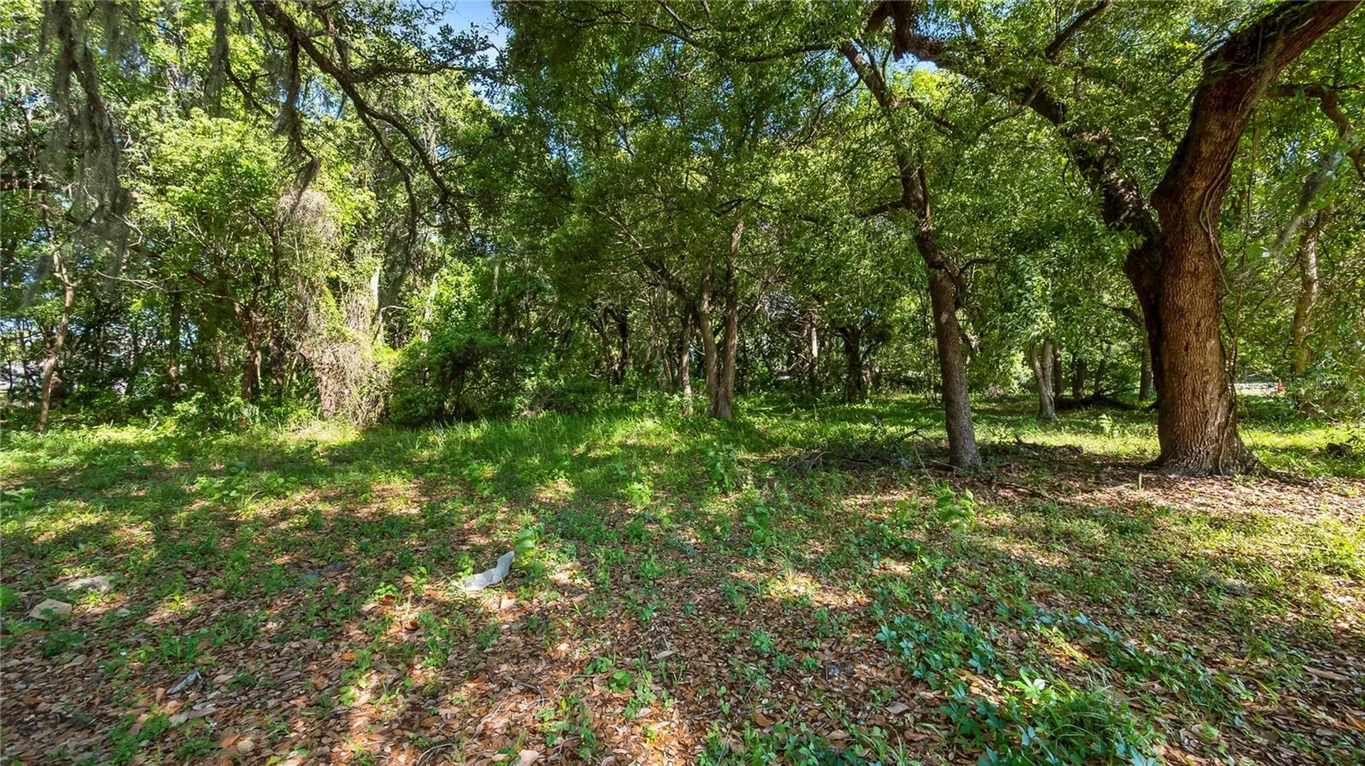 1500 N Hoagland Boulevard Kissimmee FL 34741