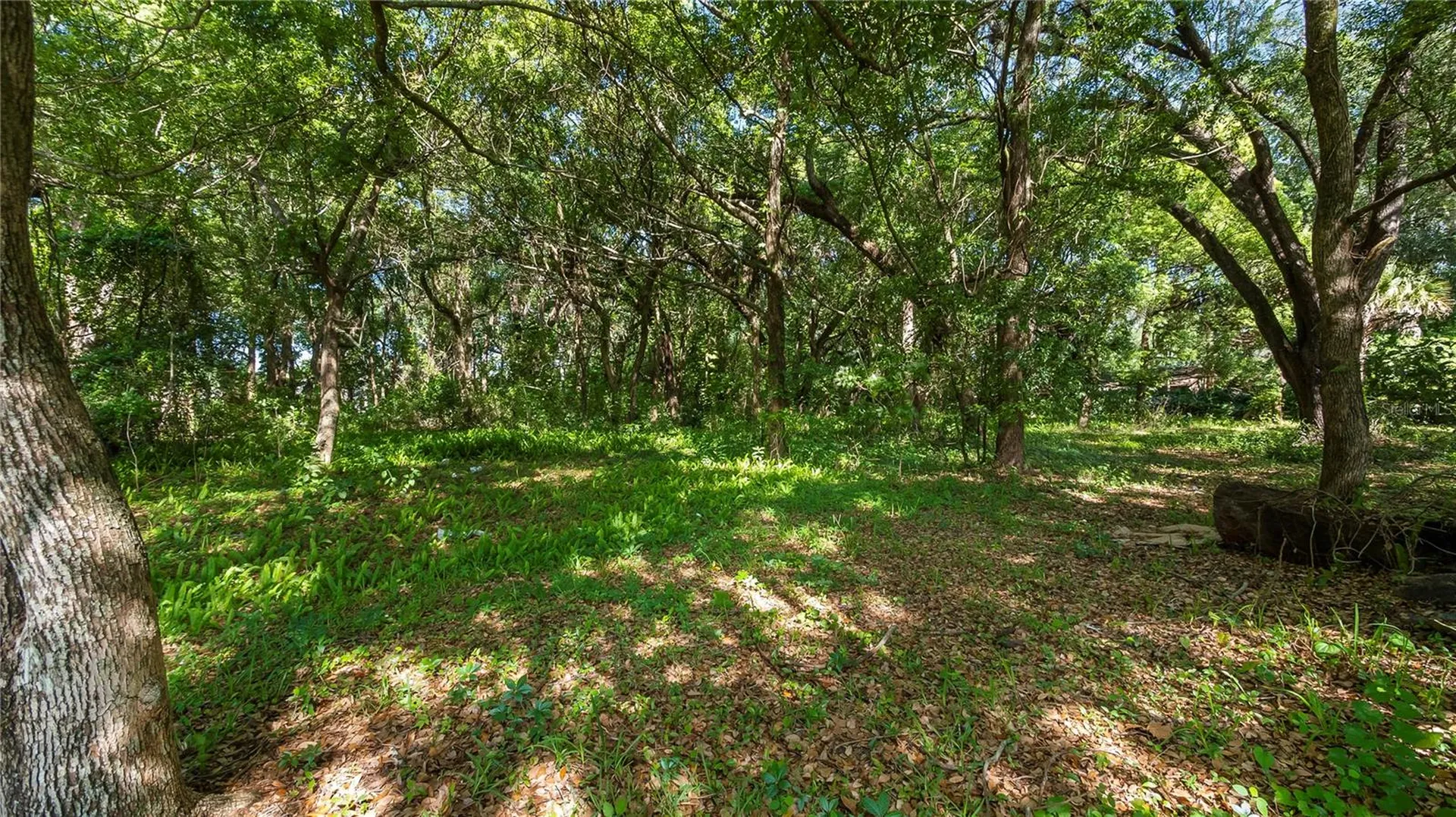 1500 N Hoagland Boulevard Kissimmee FL 34741