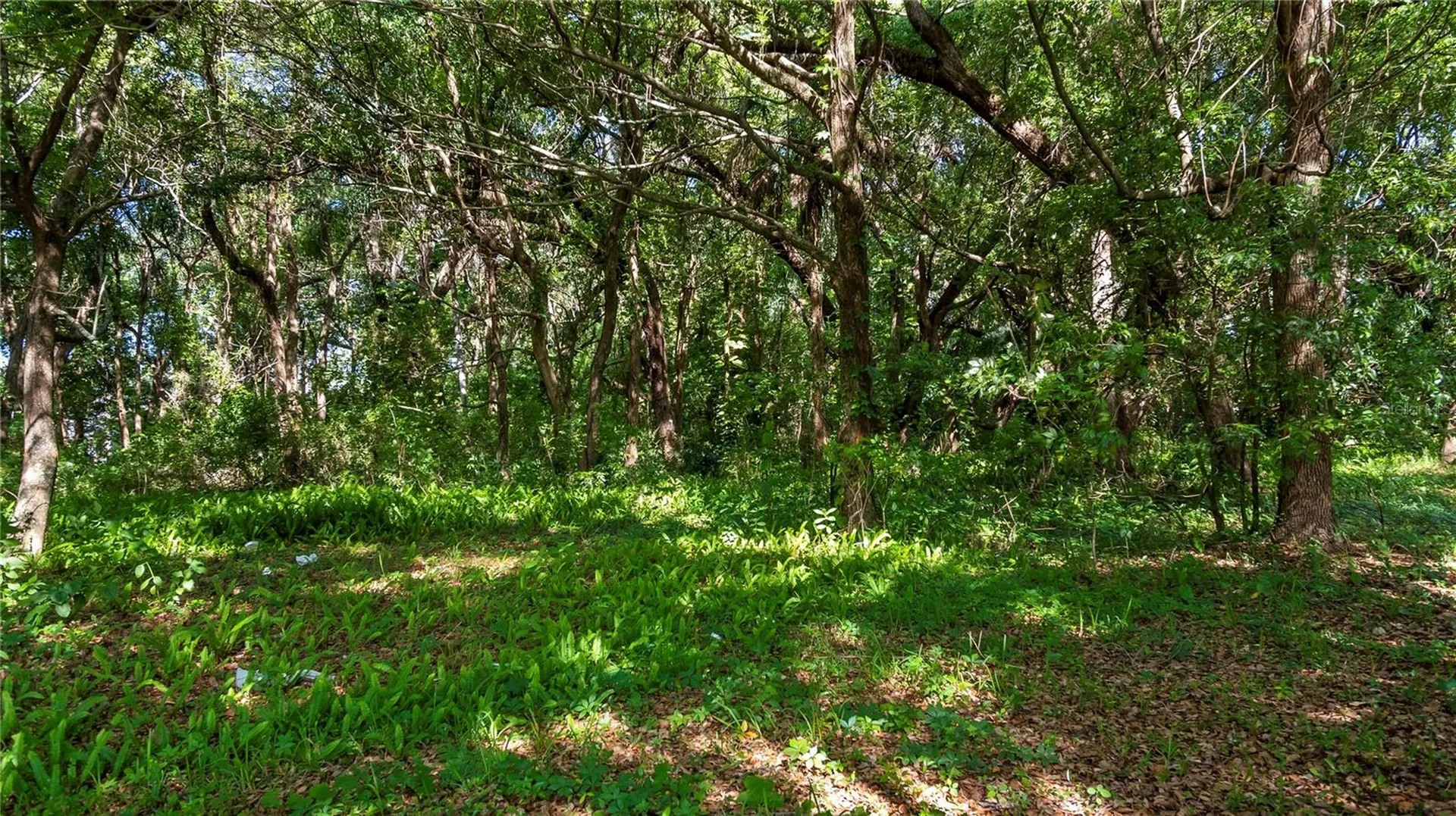 1500 N Hoagland Boulevard Kissimmee FL 34741