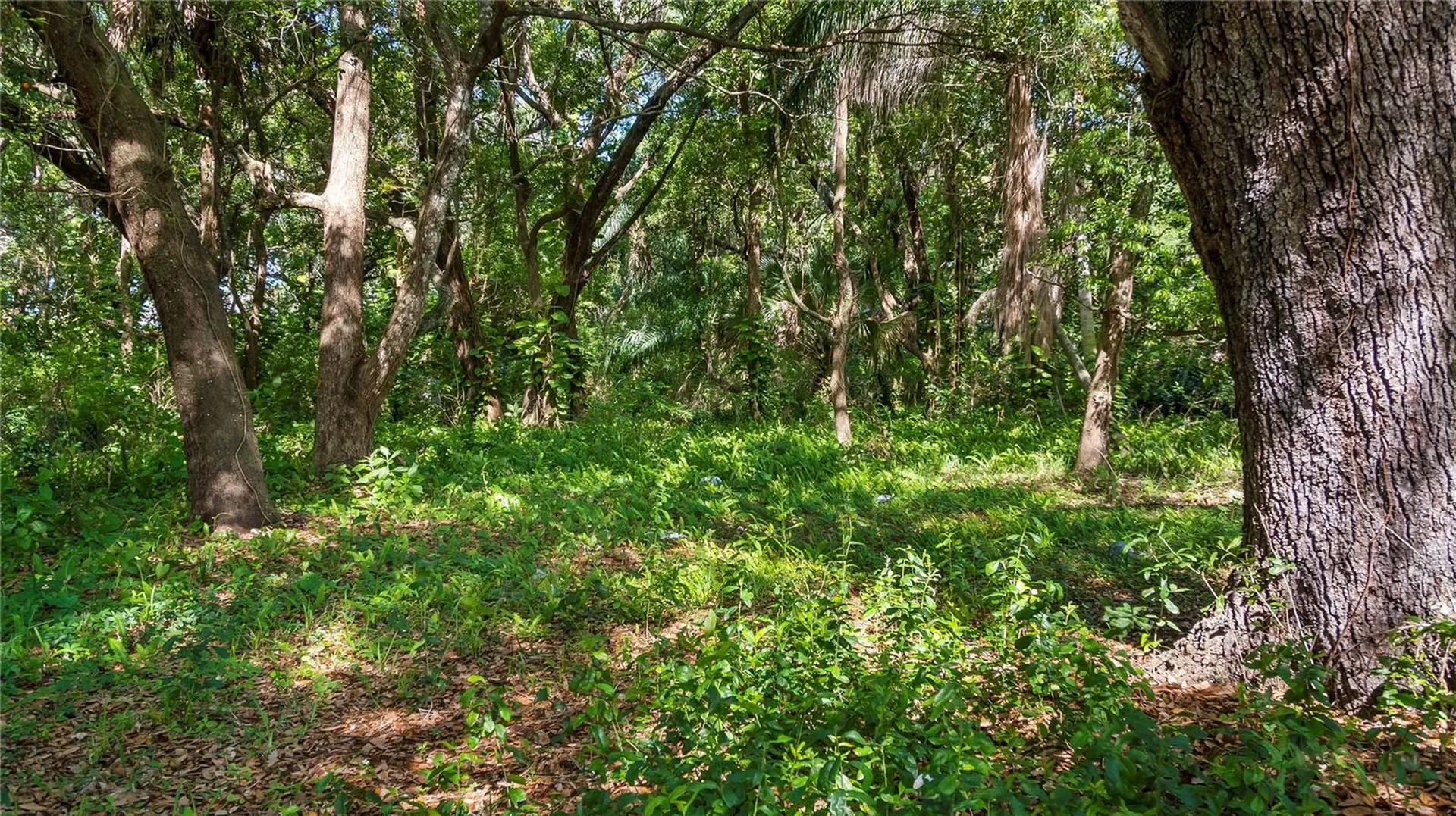1500 N Hoagland Boulevard Kissimmee FL 34741