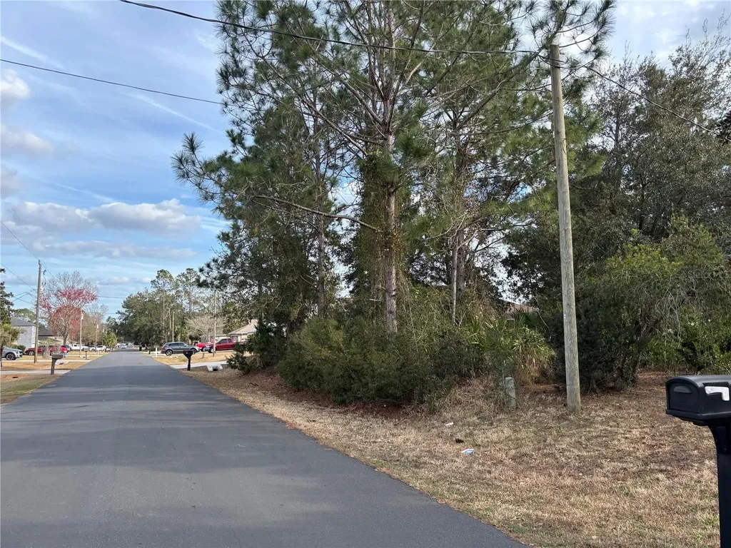4 Royal Leaf Lane Palm Coast FL 32164