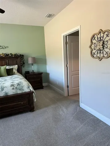 13544 Old Creek Court Parrish FL 34219