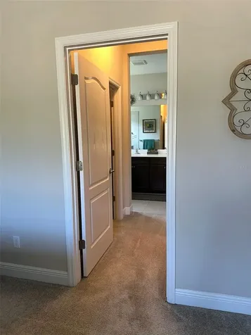 13544 Old Creek Court Parrish FL 34219
