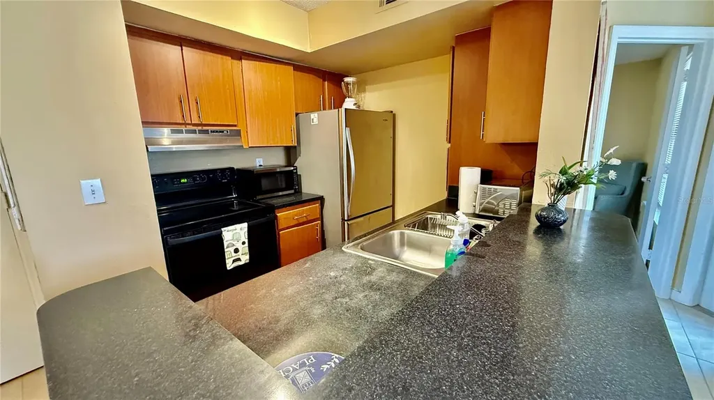 441 Fountainhead Circle Kissimmee FL 34741