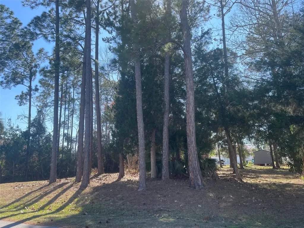 60 Birchwood Drive Palm Coast FL 32137