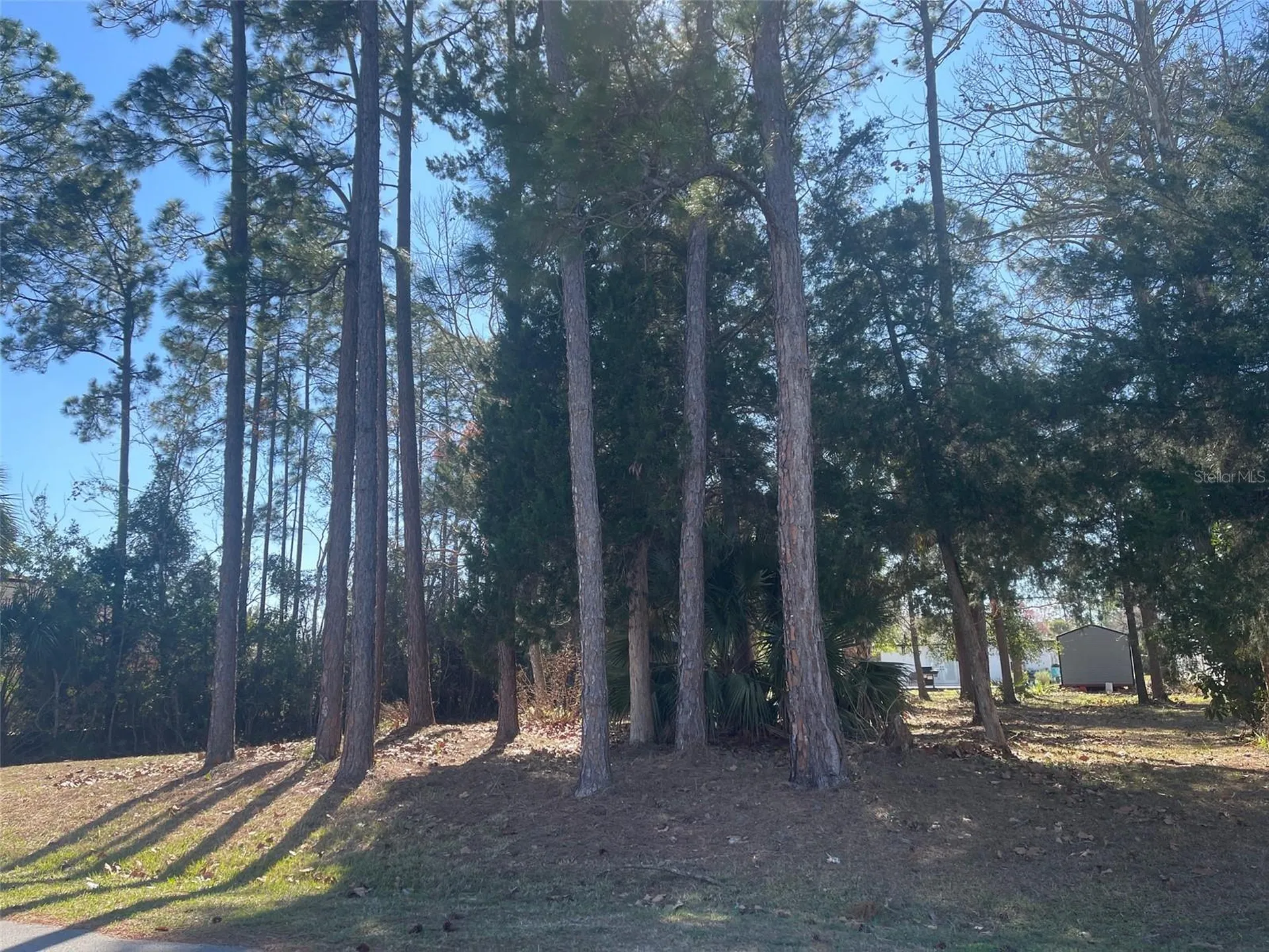 60 Birchwood Drive Palm Coast FL 32137