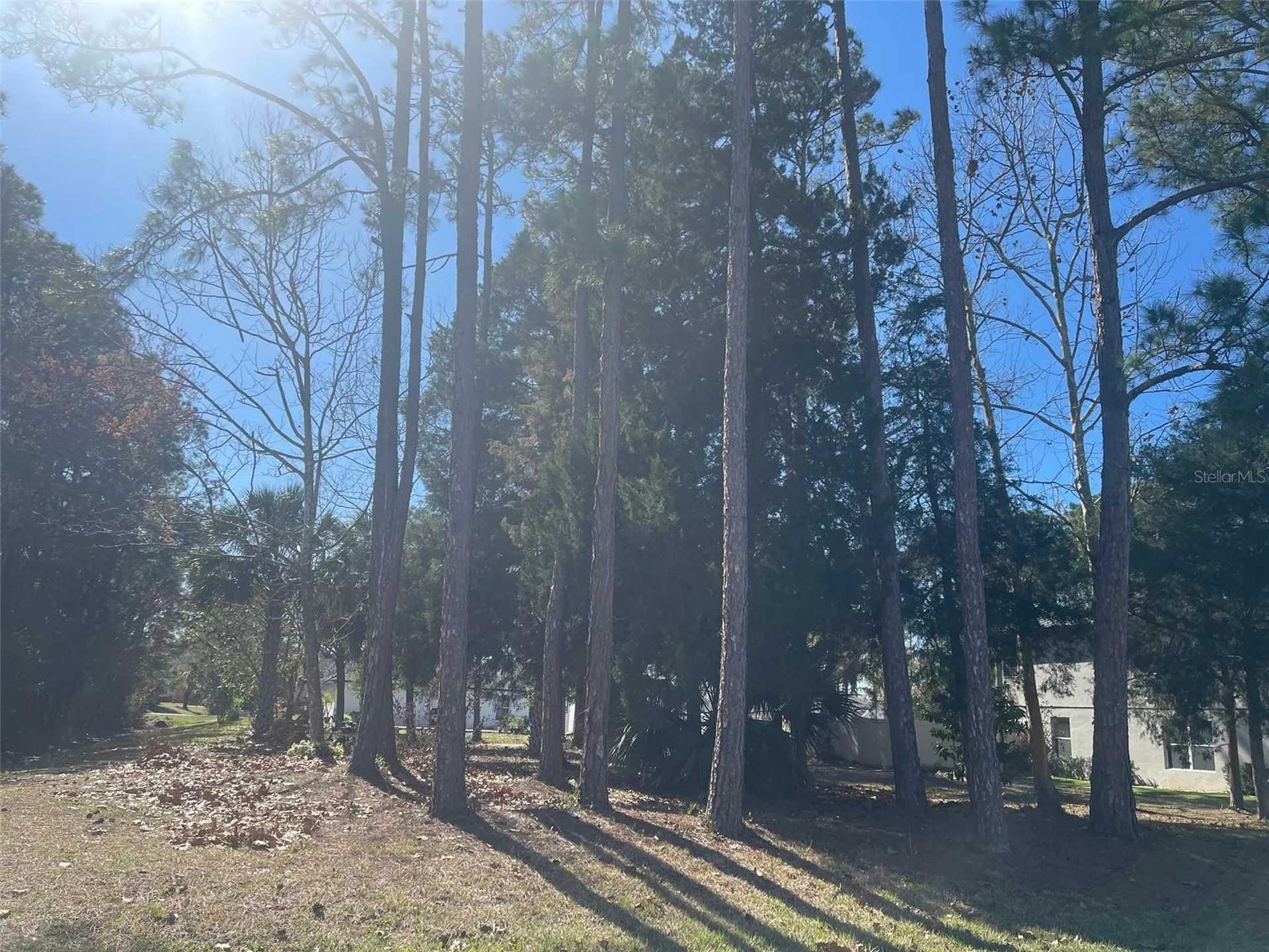 60 Birchwood Drive Palm Coast FL 32137