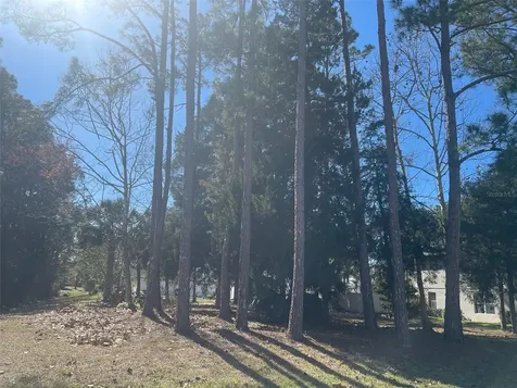 60 Birchwood Drive Palm Coast FL 32137