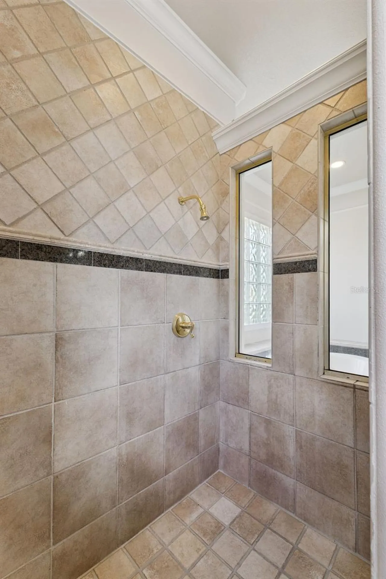 10914 Emerald Chase Drive Orlando FL 32836