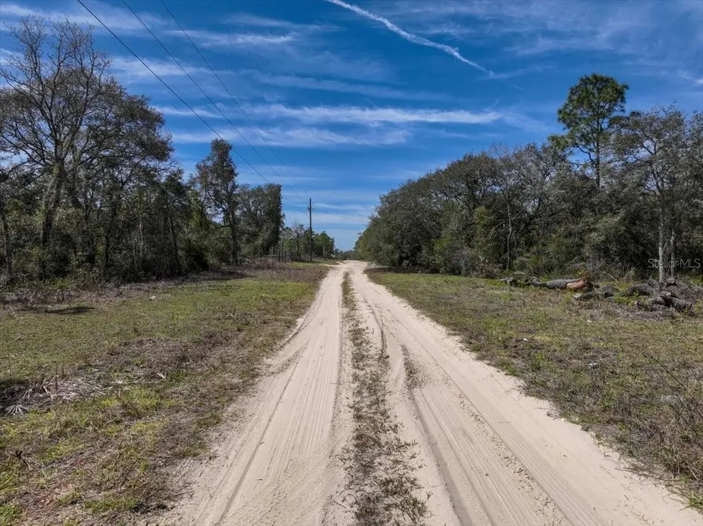 NE 65th Street Williston FL 32696