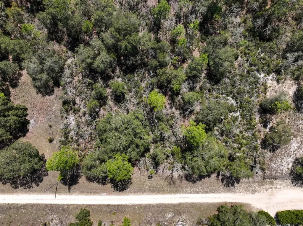 NE 65th Street Williston FL 32696