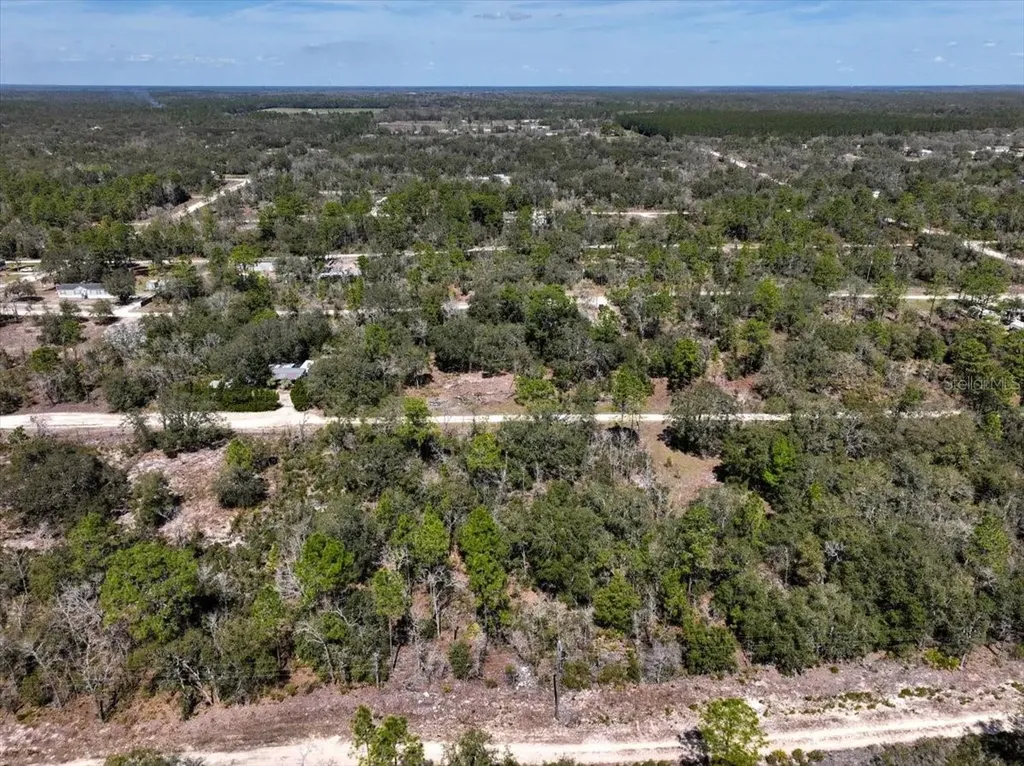 NE 65th Street Williston FL 32696