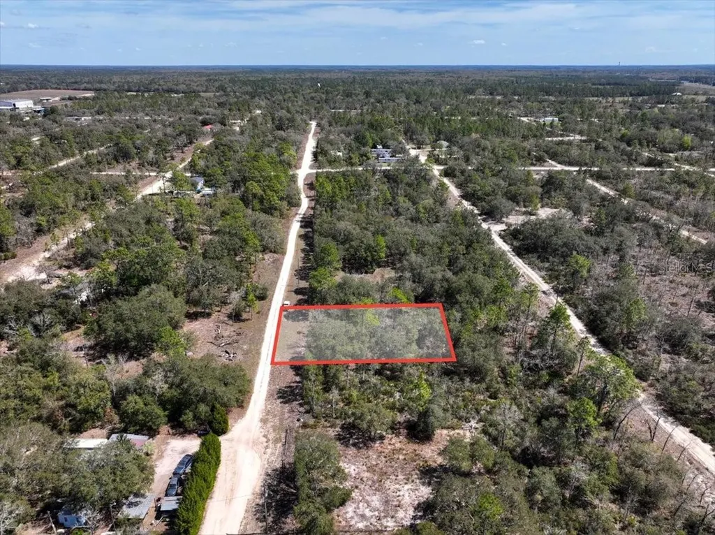 NE 65th Street Williston FL 32696