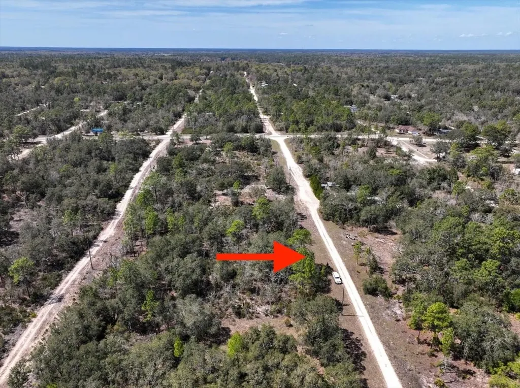 NE 65th Street Williston FL 32696
