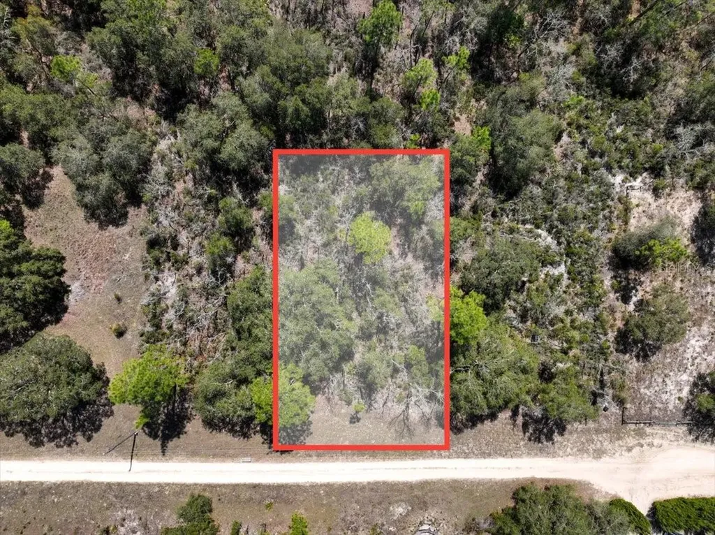 NE 65th Street Williston FL 32696