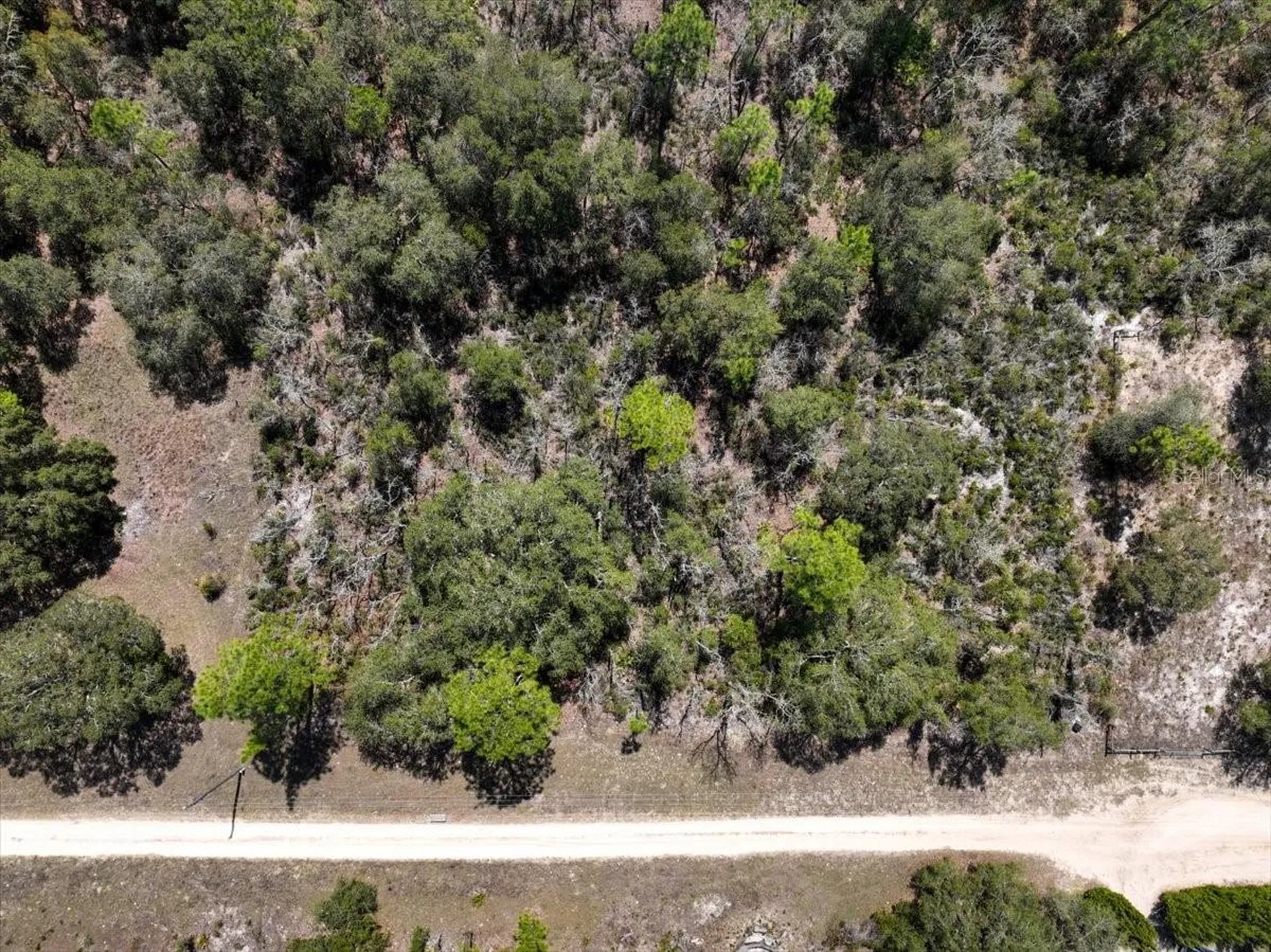 NE 65th Street Williston FL 32696