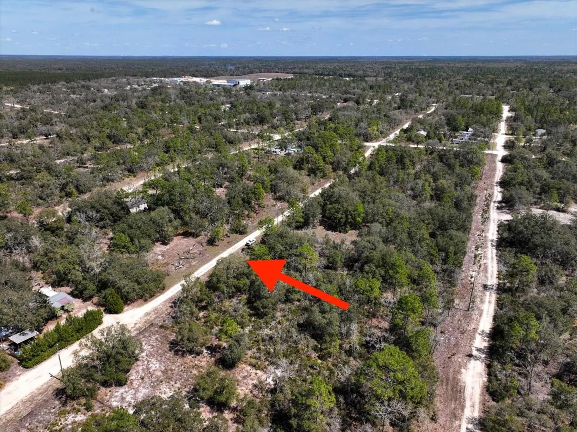 NE 65th Street Williston FL 32696