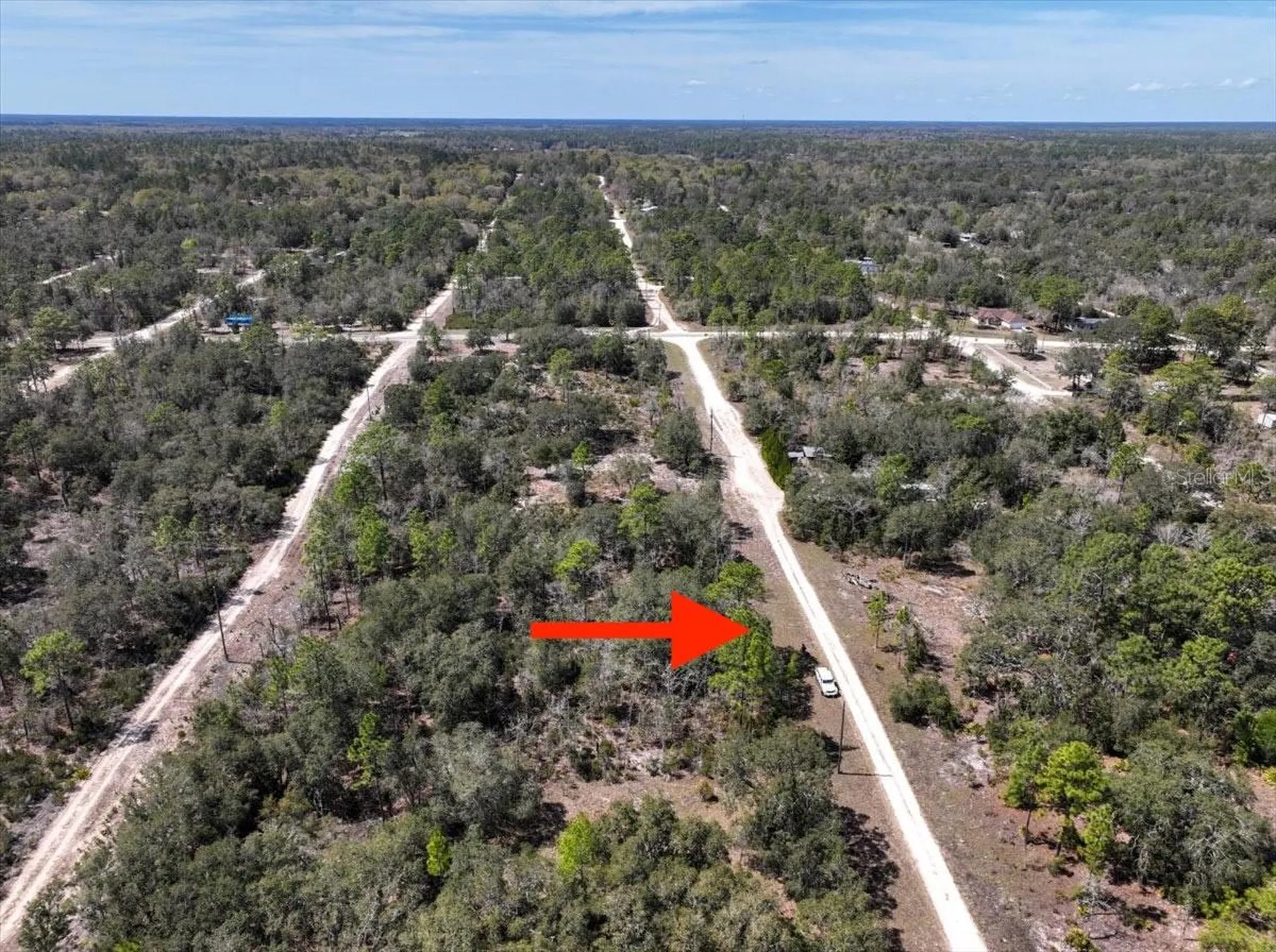 NE 65th Street Williston FL 32696