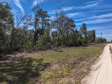 NE 65th Street Williston FL 32696