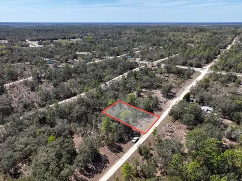 NE 65th Street Williston FL 32696