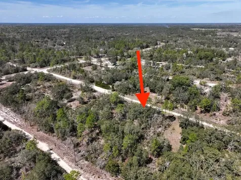 NE 65th Street Williston FL 32696