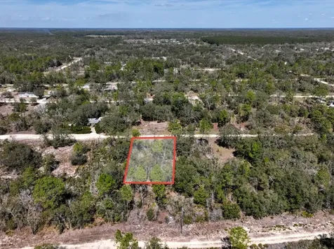 NE 65th Street Williston FL 32696