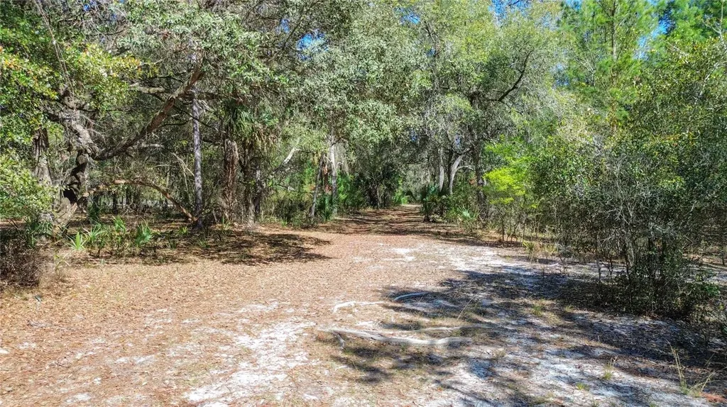 13455 NE 228th Lane Road Fort Mc Coy FL 32134