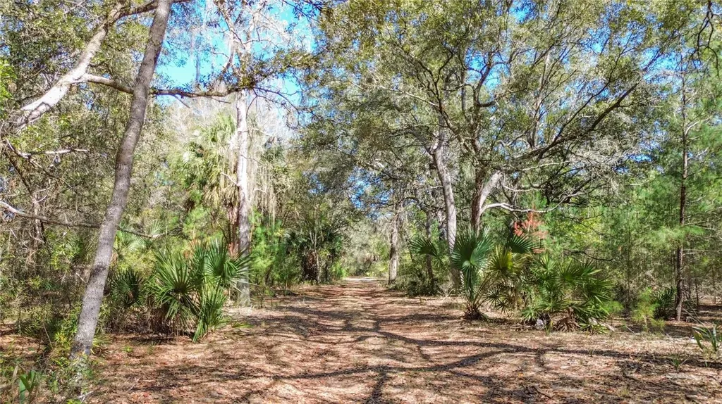 13455 NE 228th Lane Road Fort Mc Coy FL 32134