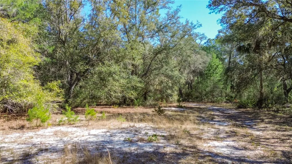 13455 NE 228th Lane Road Fort Mc Coy FL 32134