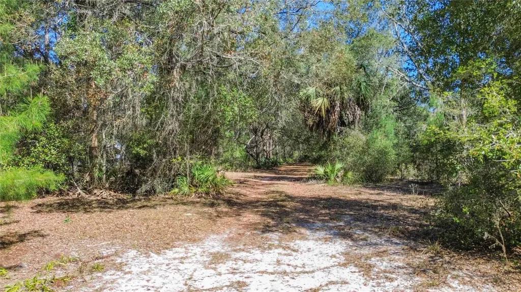 13455 NE 228th Lane Road Fort Mc Coy FL 32134