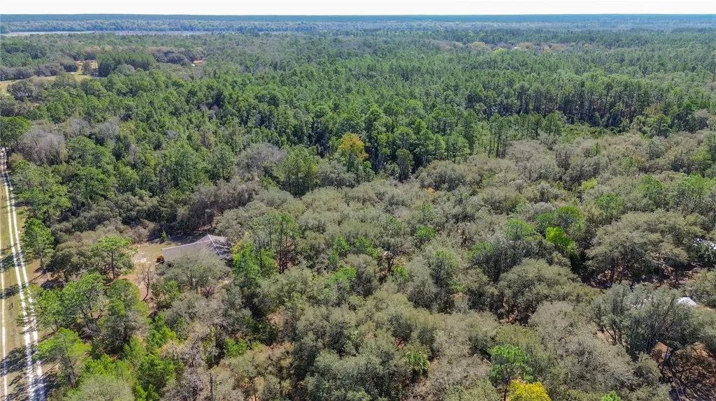 13455 NE 228th Lane Road Fort Mc Coy FL 32134