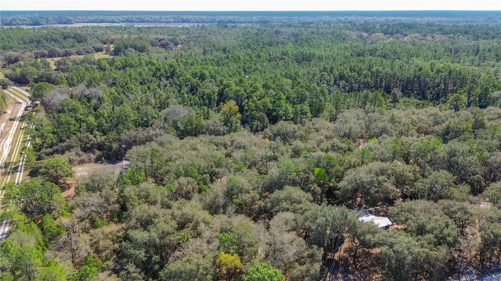 13455 NE 228th Lane Road Fort Mc Coy FL 32134