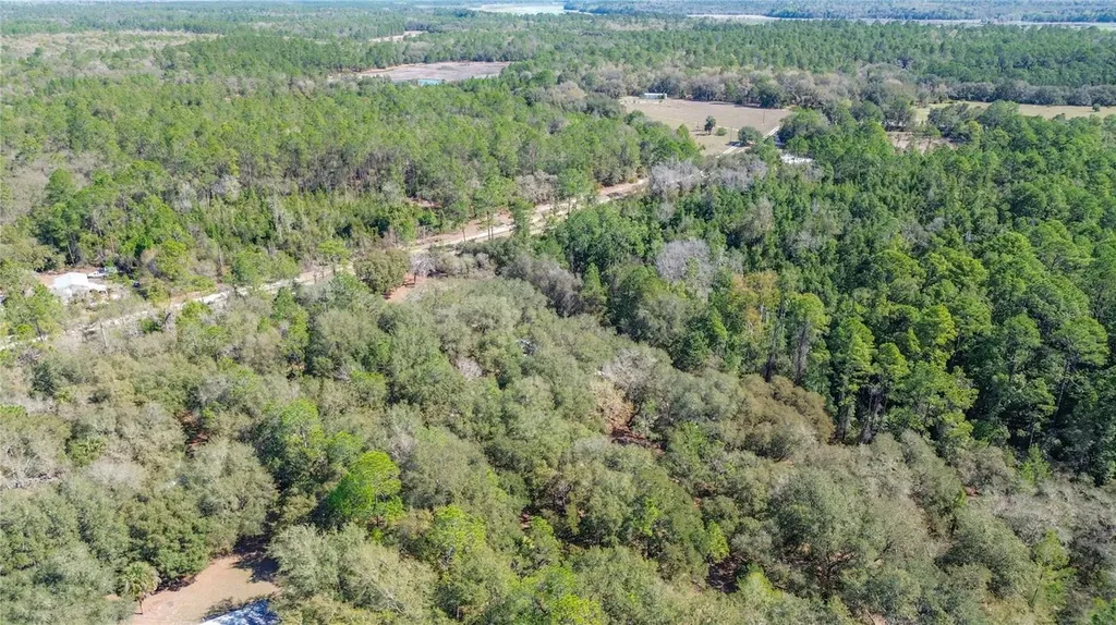 13455 NE 228th Lane Road Fort Mc Coy FL 32134