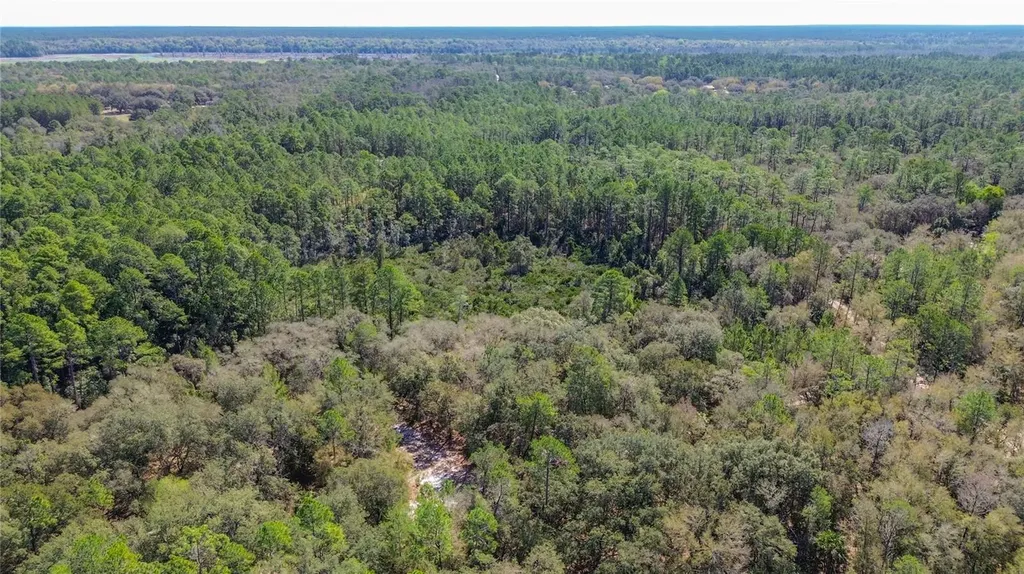 13455 NE 228th Lane Road Fort Mc Coy FL 32134
