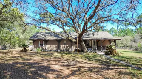 13455 NE 228th Lane Road Fort Mc Coy FL 32134