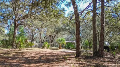 13455 NE 228th Lane Road Fort Mc Coy FL 32134
